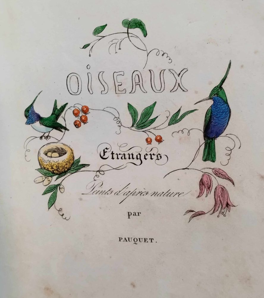 Histoire naturelle des oiseaux exotiques